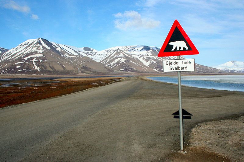 Polar bear sign Svalbard w