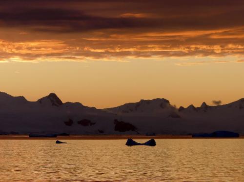 Coucher de soleil sur la Péninsule Antarctique