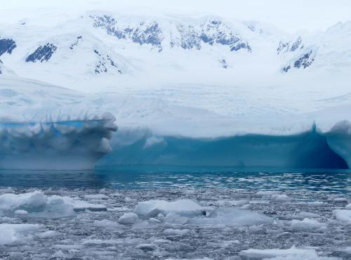 Iceberg dérivant à Lindbald Cove